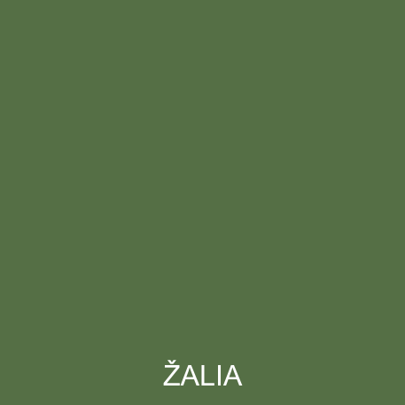 PREMIUM VILLA LATEX - Zielony